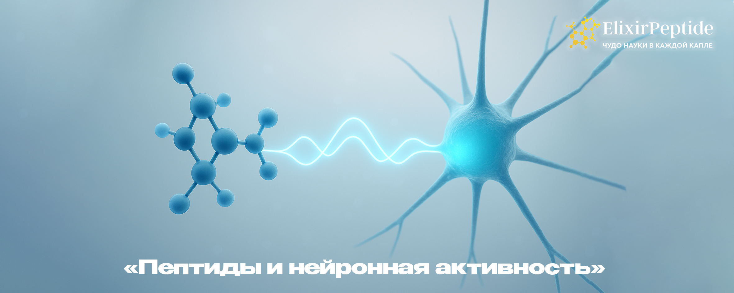 Пептиды и нейронная активность